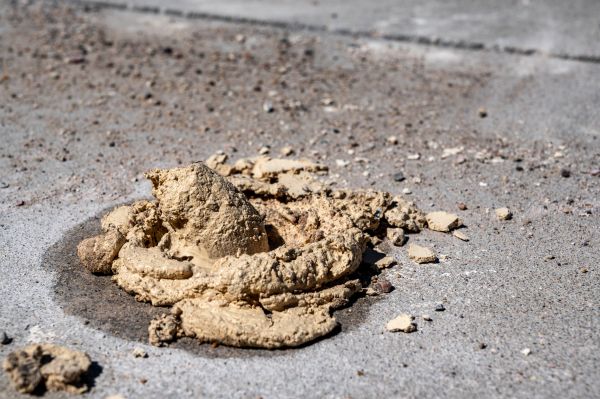 Cost of Driveway Slab Leveling in Farmington